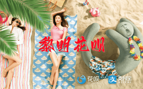 奇文共赏花呗